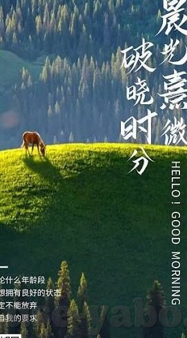 篮球比分足球即时比分-从篮球比分到足球即时比分，一场关于体育数据狂欢的深度解析