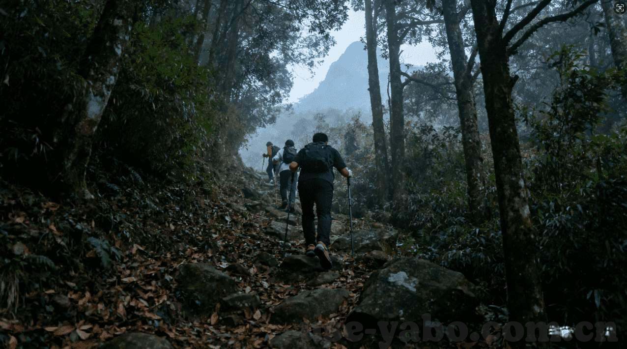sands澳门金沙直营赌场-澳门金沙，直营赌场的魅力与探索